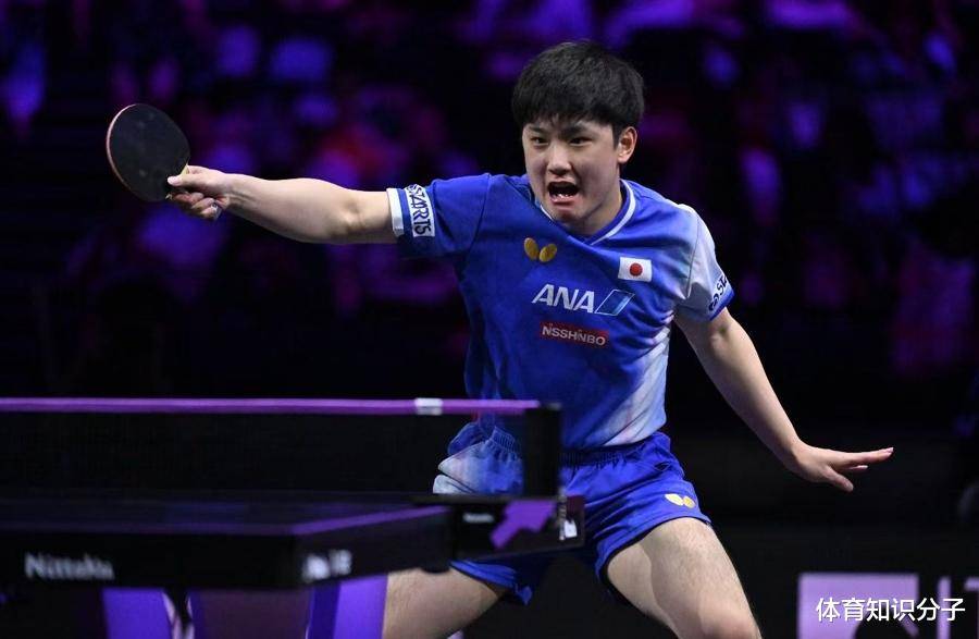 日本乒乓球队翻盘波兰乒乓球队,张本智和关键制胜的简单介绍 日本乒乓球队翻盘波兰乒乓球队,张本智和关键制胜的简单介绍